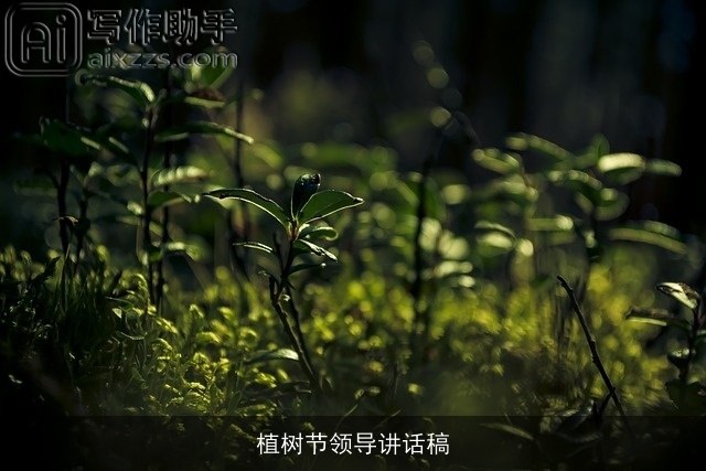 植树节领导讲话稿