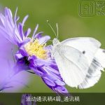 活动通讯稿4篇_通讯稿