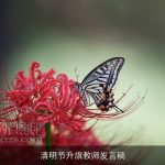 清明节升旗教师发言稿