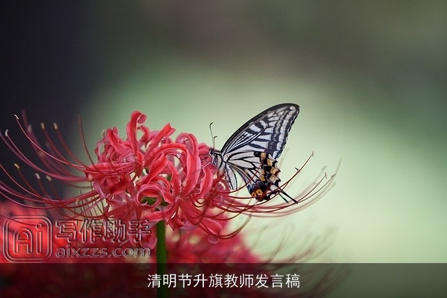 清明节升旗教师发言稿