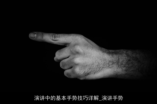 演讲中的基本手势技巧详解_演讲手势
