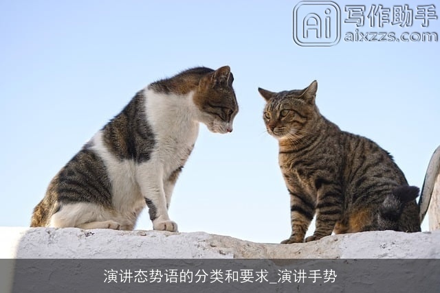 演讲态势语的分类和要求_演讲手势