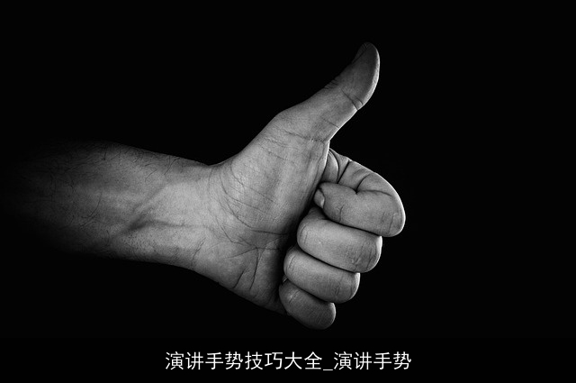 演讲手势技巧大全_演讲手势