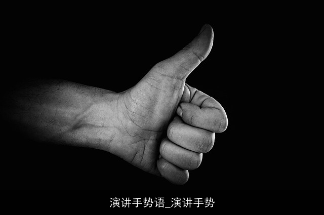 演讲手势语_演讲手势