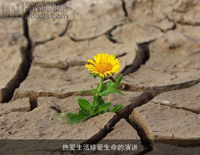 热爱生活珍爱生命的演讲