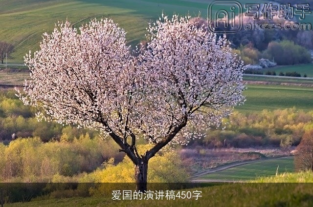 爱国的演讲稿450字