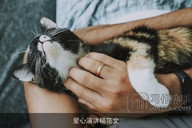 爱心演讲稿范文