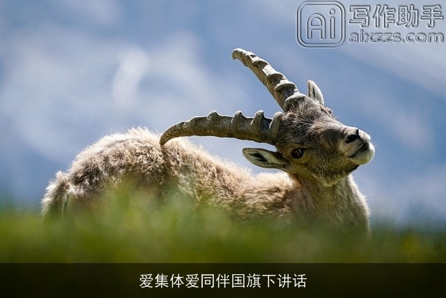 爱集体爱同伴国旗下讲话