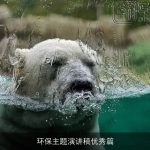 环保主题演讲稿优秀篇