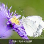 环保伴我成长演讲稿