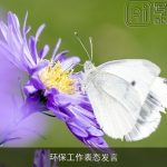 环保工作表态发言