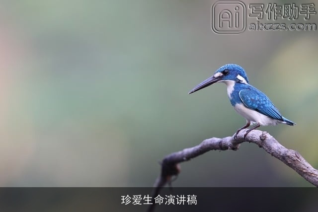 珍爱生命演讲稿