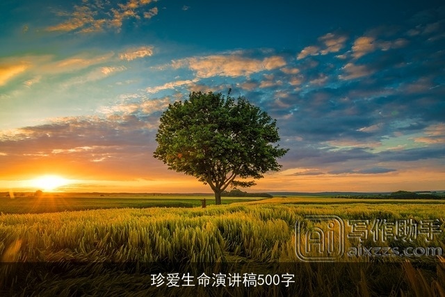 珍爱生命演讲稿500字