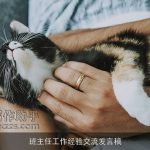 班主任工作经验交流发言稿