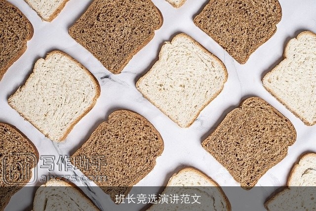 班长竞选演讲范文