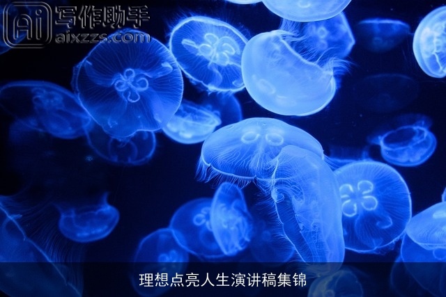 理想点亮人生演讲稿集锦