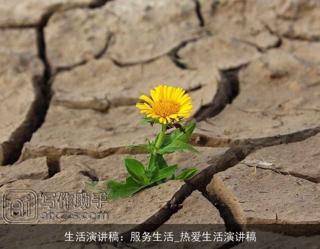 生活演讲稿：服务生活_热爱生活演讲稿