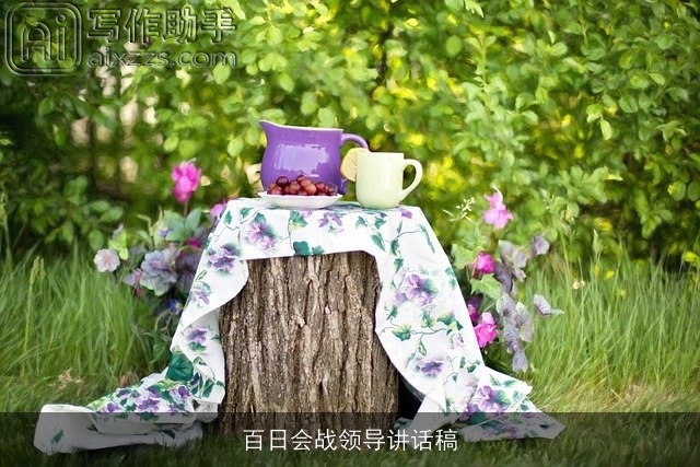 百日会战领导讲话稿