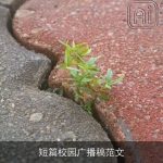 短篇校园广播稿范文