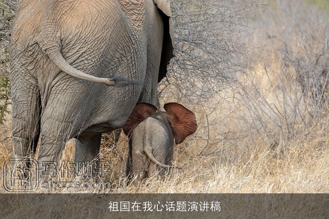 祖国在我心话题演讲稿