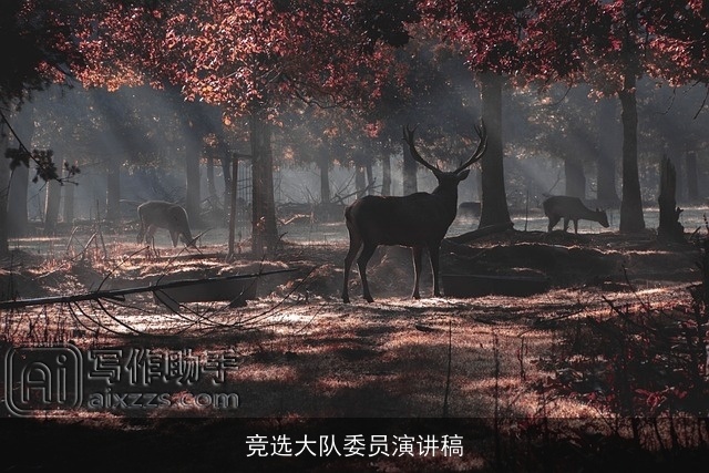 竞选大队委员演讲稿