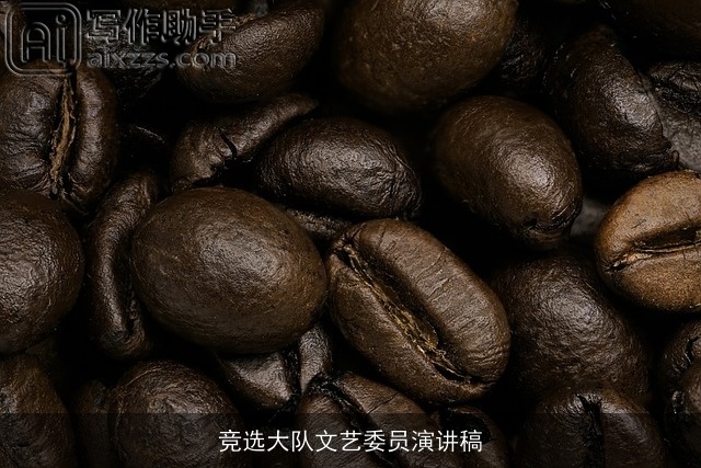 竞选大队文艺委员演讲稿