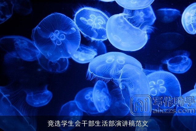 竞选学生会干部生活部演讲稿范文