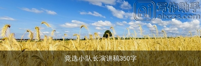 竞选小队长演讲稿350字