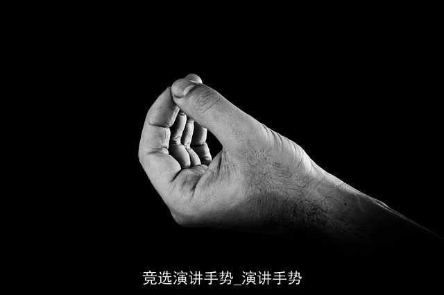 竞选演讲手势_演讲手势