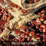 竞选班宣传委员演讲稿