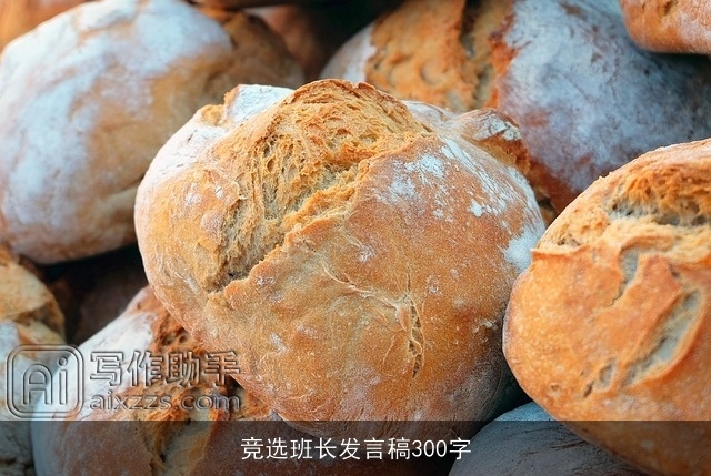 竞选班长发言稿300字