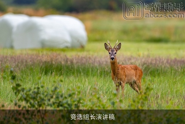 竞选组长演讲稿