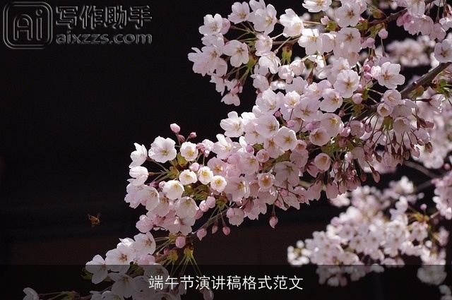 端午节演讲稿格式范文