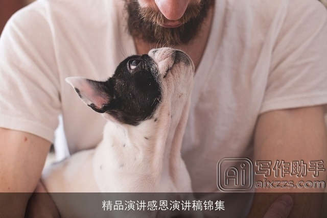 精品演讲感恩演讲稿锦集