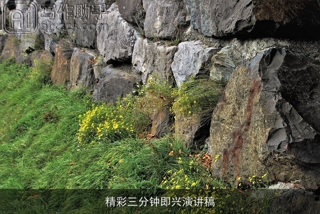 精彩三分钟即兴演讲稿