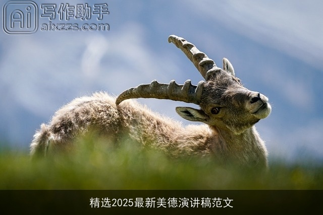 精选2025最新美德演讲稿范文