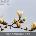 精选世界环境日国旗下讲话稿