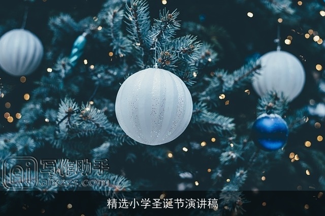 精选小学圣诞节演讲稿