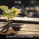 精选新学期开学国旗下讲话稿