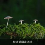 精选爱国演讲稿