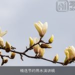 精选节约用水演讲稿