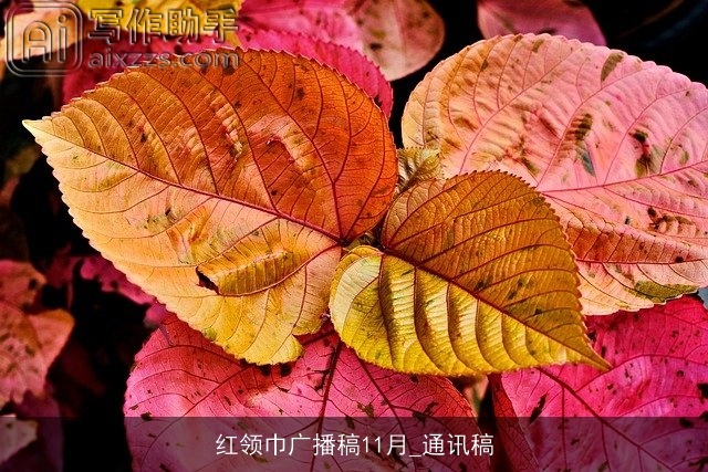 红领巾广播稿11月_通讯稿