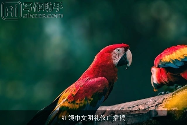 红领巾文明礼仪广播稿