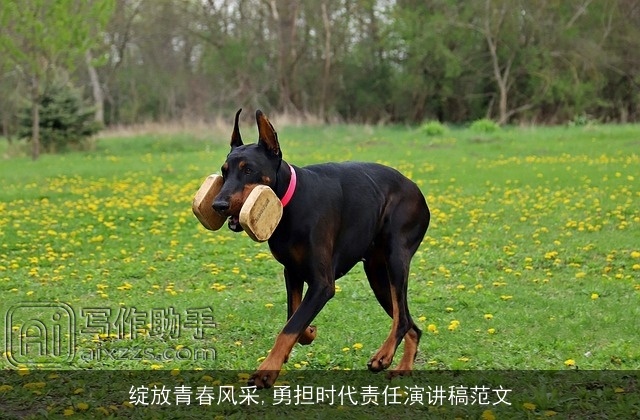 绽放青春风采,勇担时代责任演讲稿范文