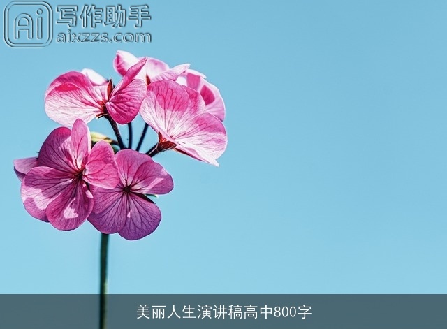 美丽人生演讲稿高中800字