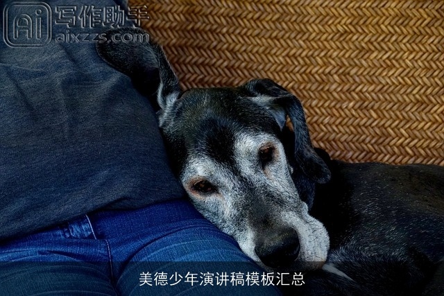 美德少年演讲稿模板汇总