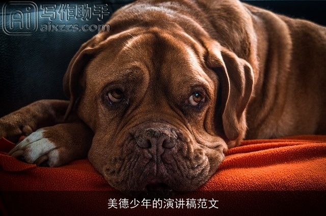 美德少年的演讲稿范文