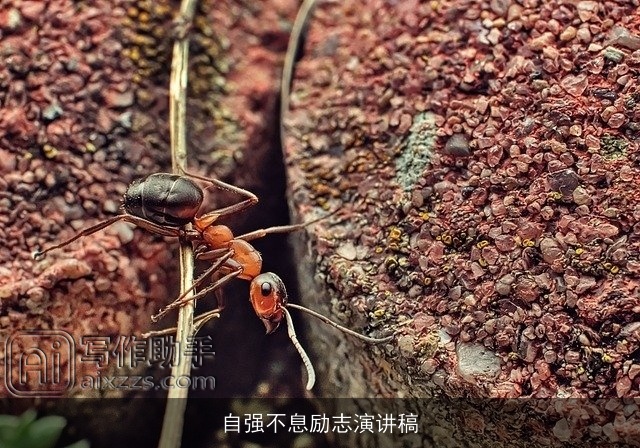 自强不息励志演讲稿