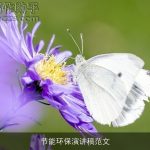 节能环保演讲稿范文