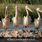 英语的三分钟演讲稿作文大全